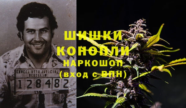 молекула духа Алексин