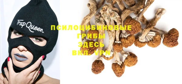 гидра Алзамай